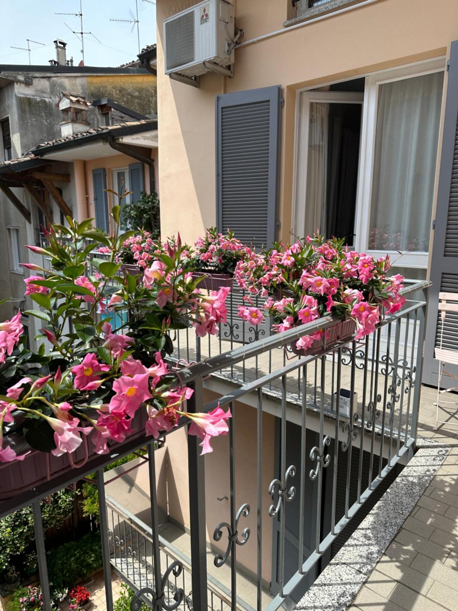 D-Place Apartment Piazza Duomo Crema Exterior photo